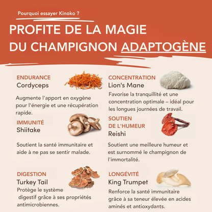 Kinoko Mushroom Café 