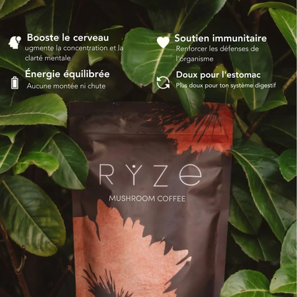 Kinoko Mushroom Café 