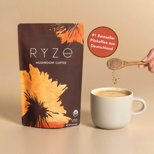 Kinoko Mushroom Café 